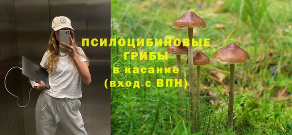 спайс Аркадак