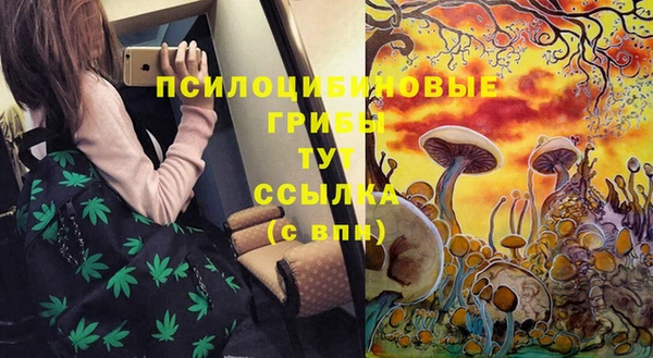 спайс Аркадак