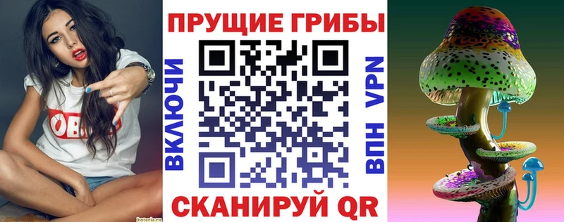 Галлюциногенные грибы Cubensis цены наркотик Октябрьск